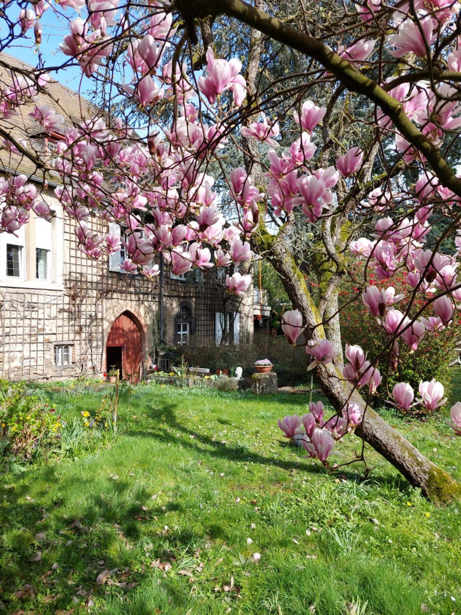 Pension Marienhof โคเบิร์น-กอนดอร์ฟ ภายนอก รูปภาพ